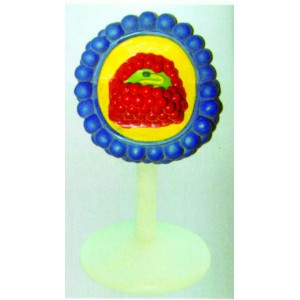 Vertical Corona Virus Model